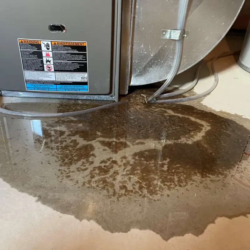 Appliance Leak Cleanup in City of Richmond, VA